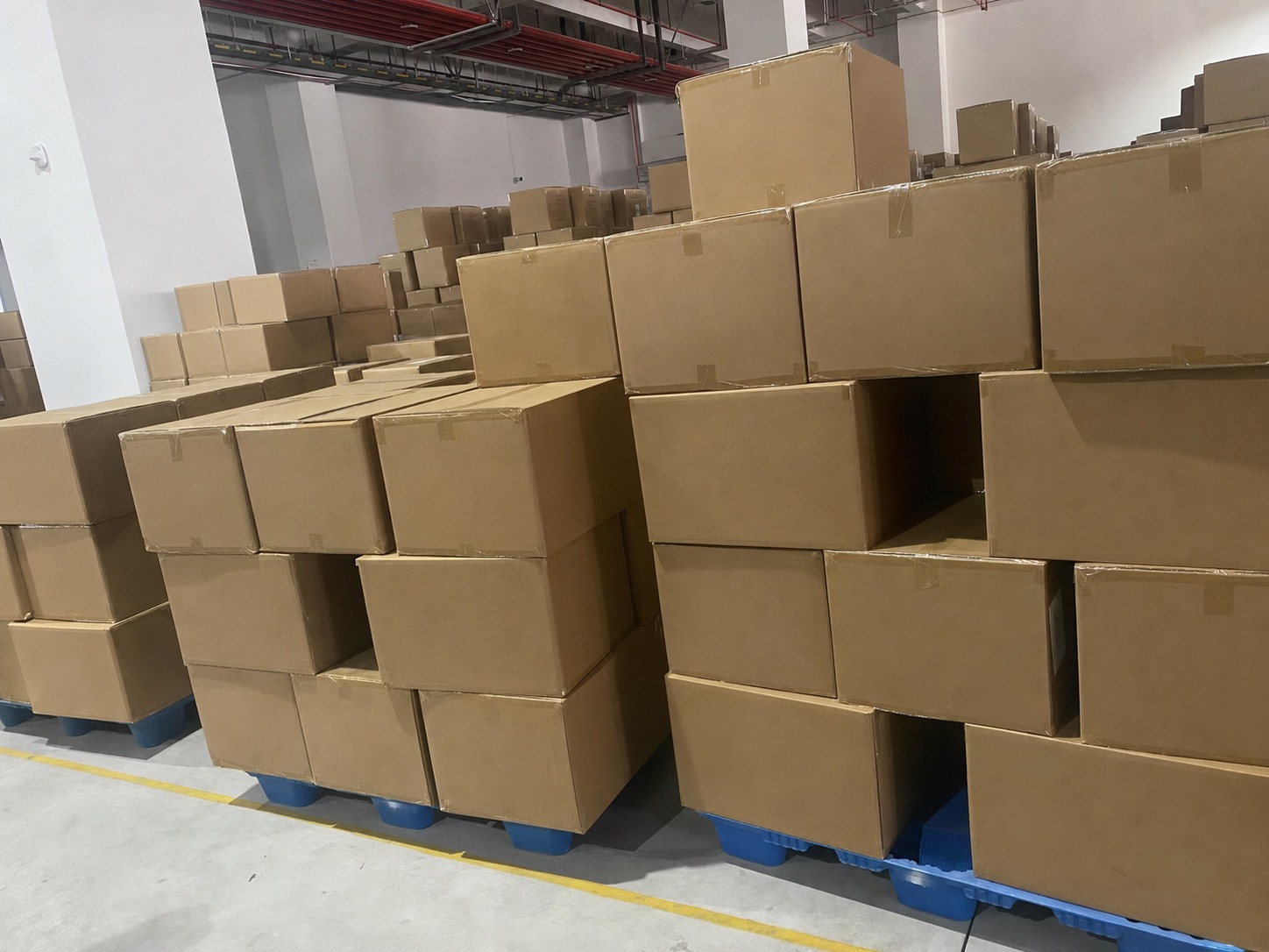 Cartons staged on blue pallets inside the warehouse.